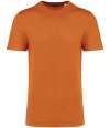 NS314IC Native Spirit Unisex Crew Neck IC T-Shirt Pomelo colour image